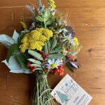 Kräuterboschen 2025