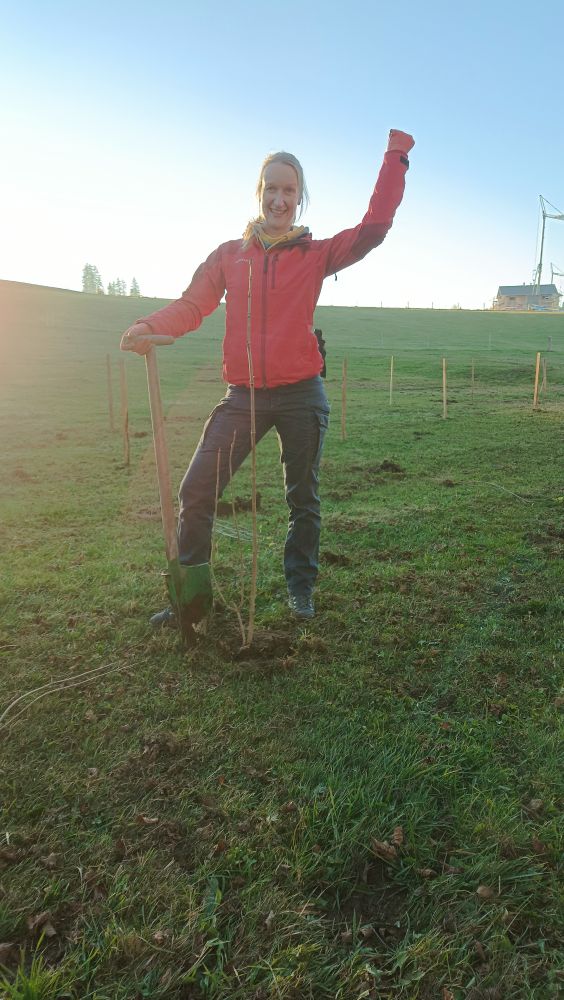 Planzaktion Kreuzweg 2025