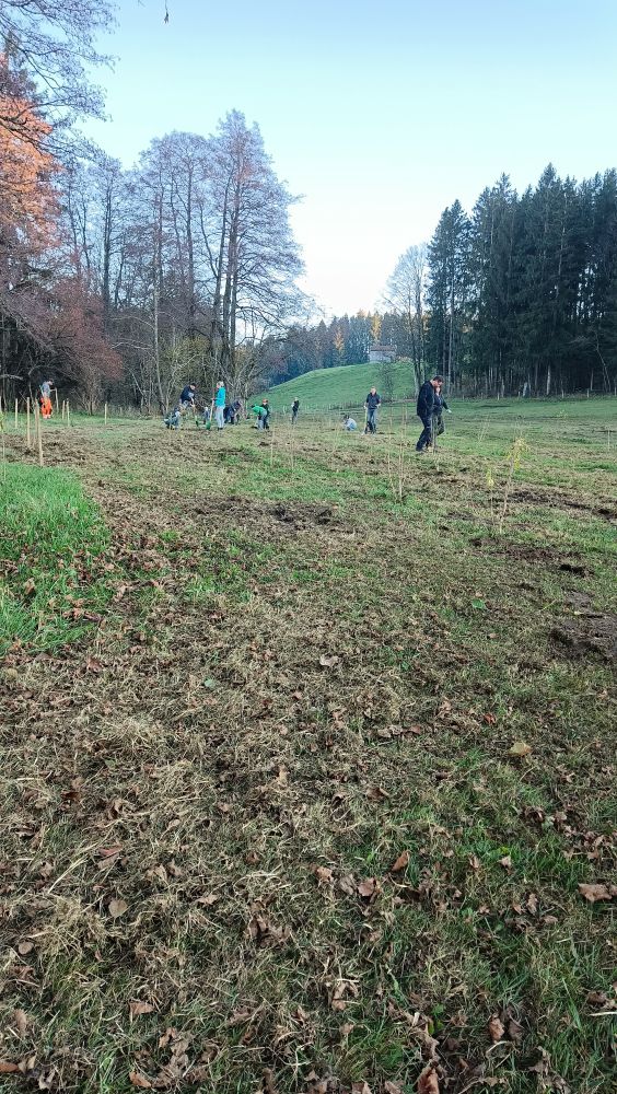 Planzaktion Kreuzweg 2025