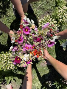 Blumenacker 2026