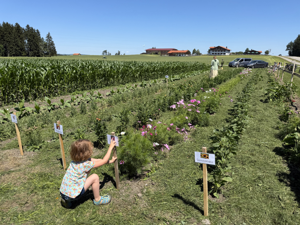 Blumenacker 2026
